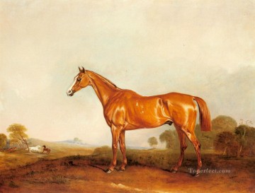  pferd - Ein Golden Chestnut Hunter In einer Landschaft Pferd John Ferneley Snr